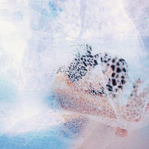 少妇搡BBBB搡BBB搡小说
